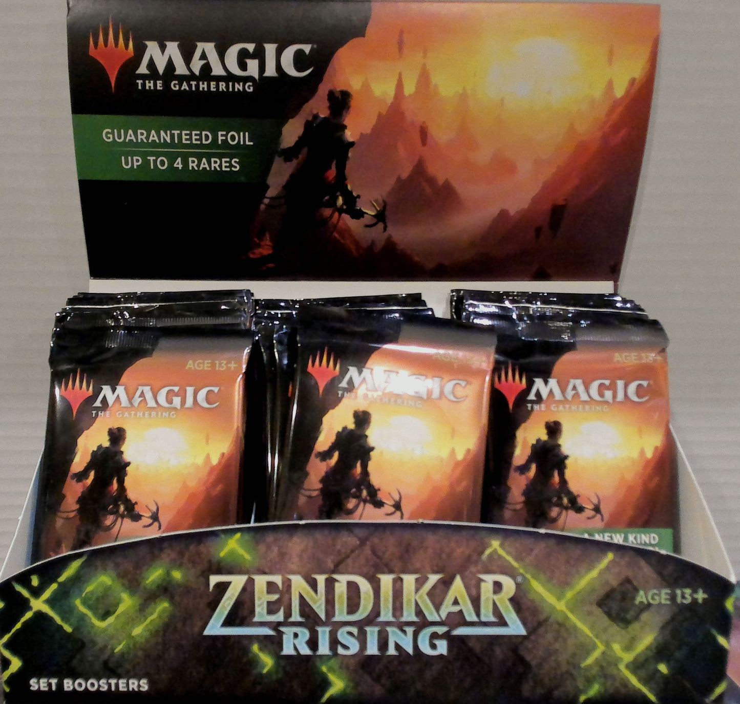 Zendikar Rising Set Booster Pack Box